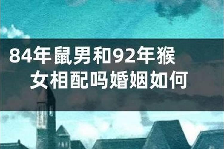 92年属猴和84年属鼠配吗