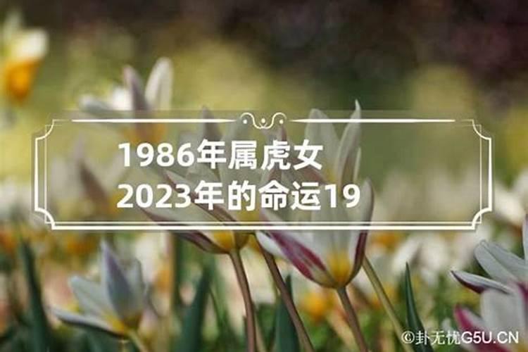 1986年属虎女命运2022