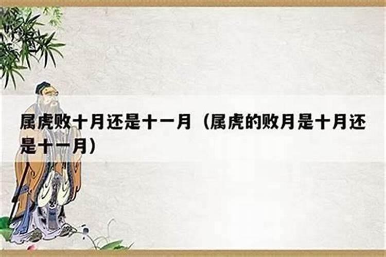 农历12月的属虎女命运