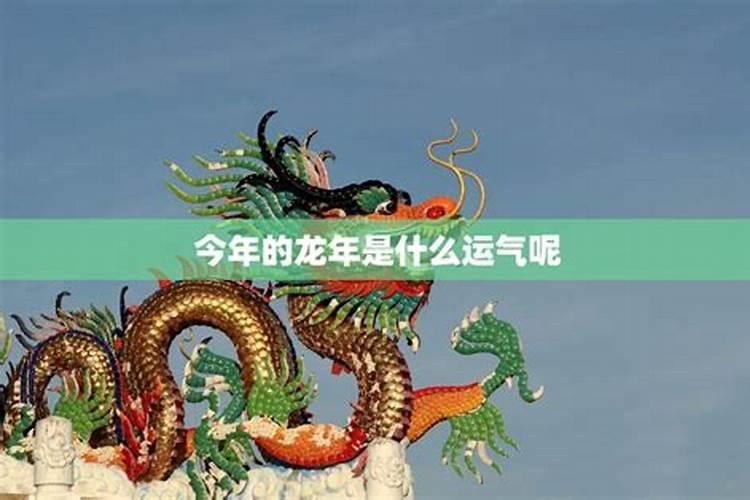 龙宝宝今年运势怎么样