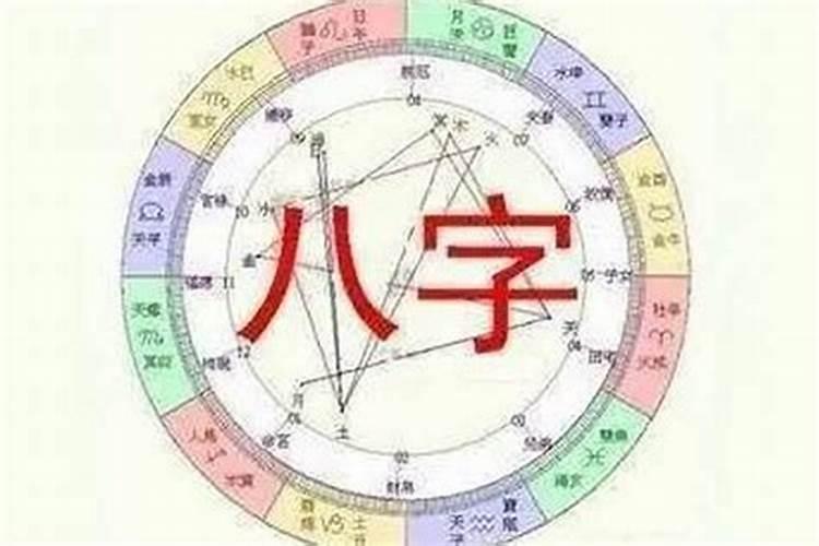 八字地支什么是合动