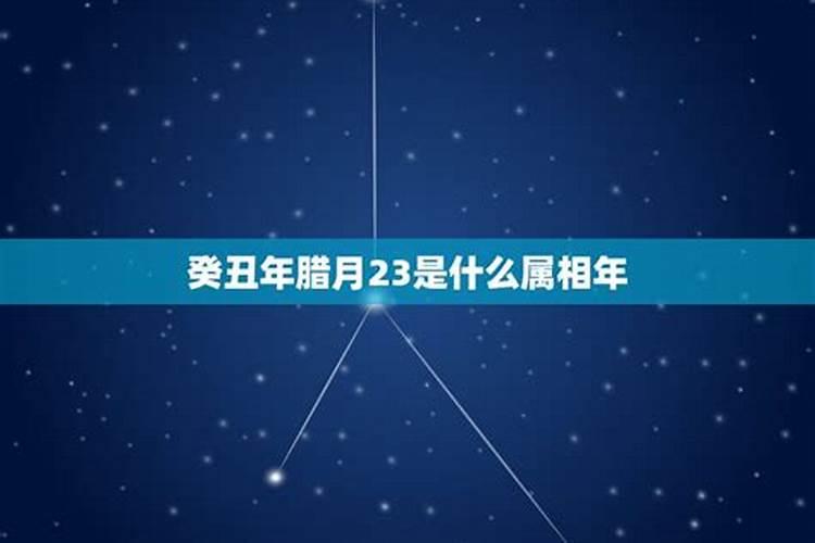 农历辛丑年腊月23日