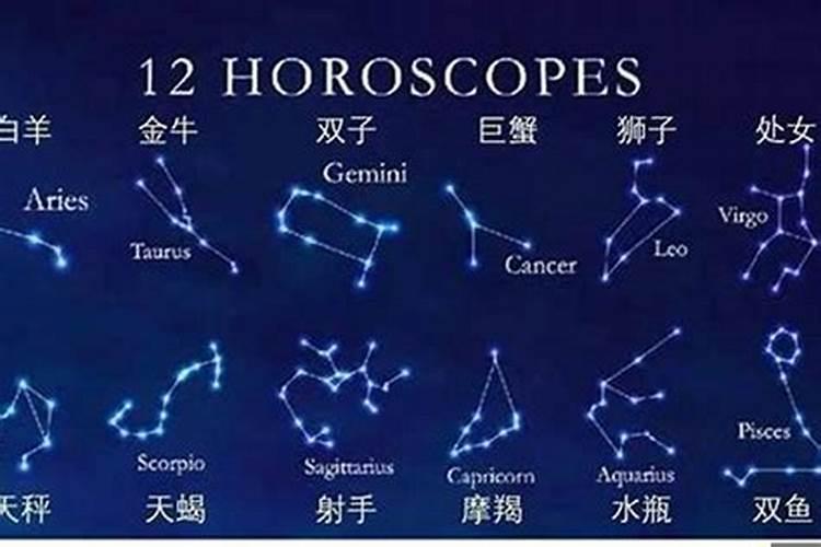 12星座最容易受伤的星座