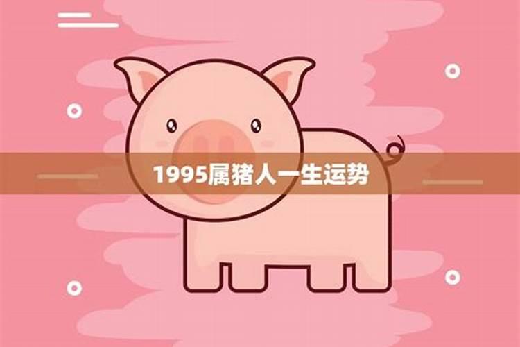 95猪遇鼠年运势如何