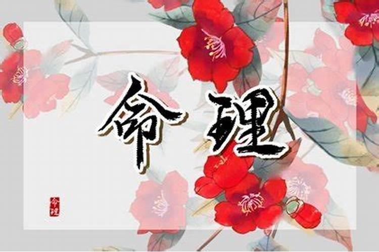 女命格局最高的八字