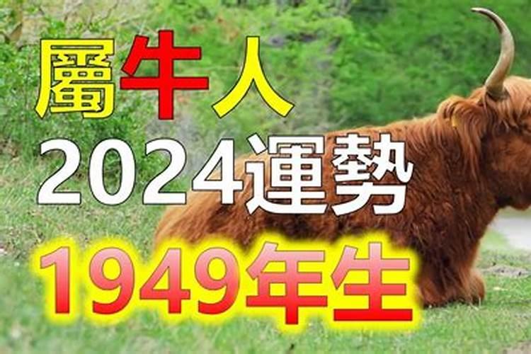 1949年属牛2023健康运不佳如何化解