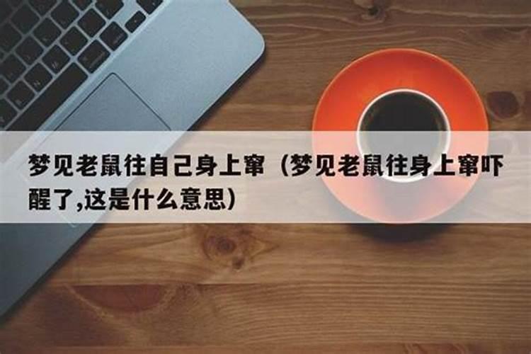 梦到老鼠窜到自己裤裆是什么意思