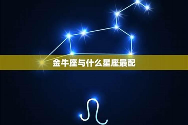 什么星座和金牛座结婚最幸福