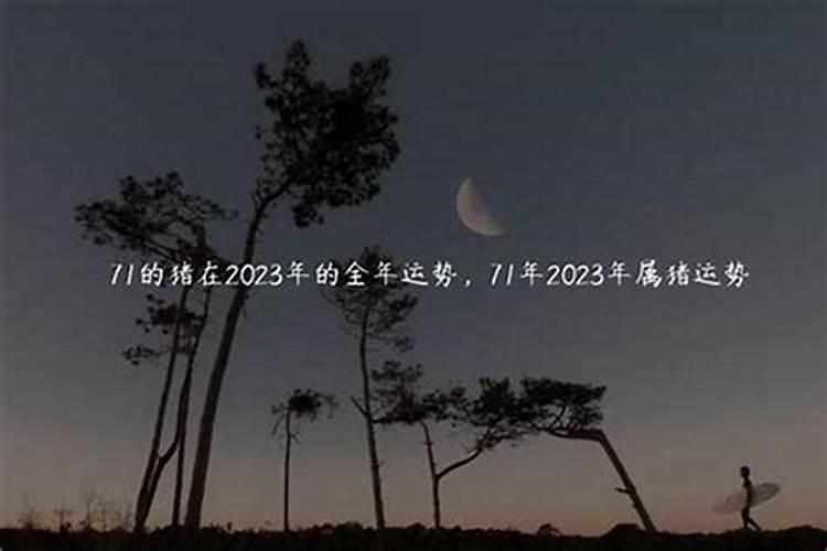 一九八七年出生今年运势