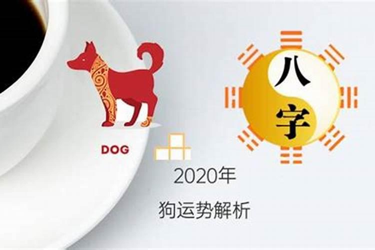 82年正月的狗2021年运势