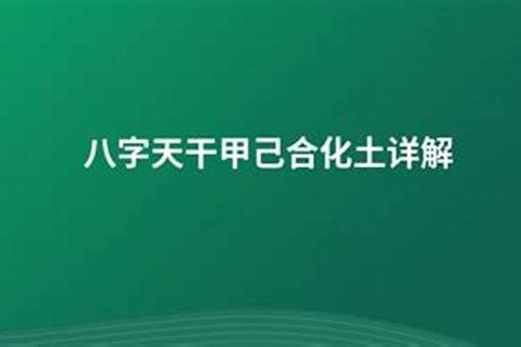 八字甲子的己未能合化吗