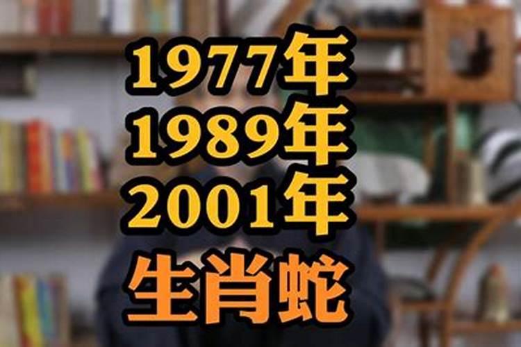 1977属蛇几月命苦男人婚姻