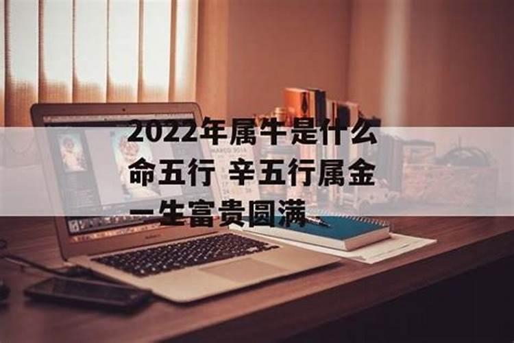 2022牛年是什么命五行