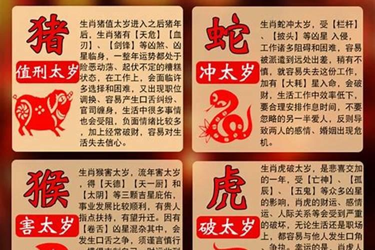 9这个数字五行属什么