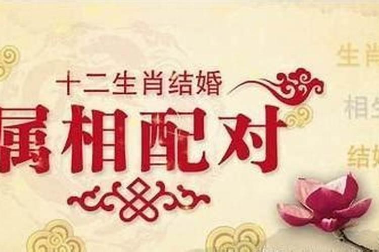 生肖配对上等婚姻是什么