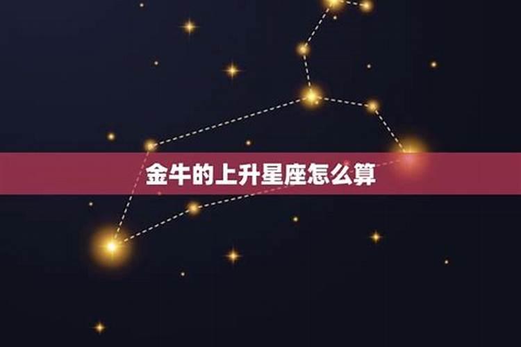 金牛座属于什么象星座