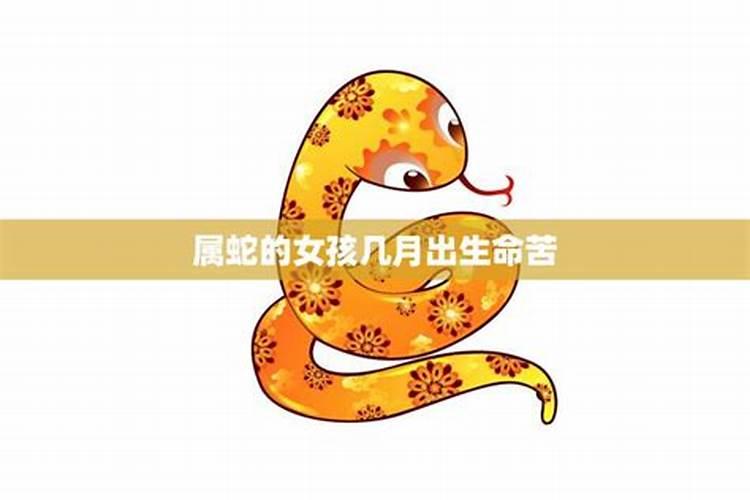 11月份出生属蛇女运程