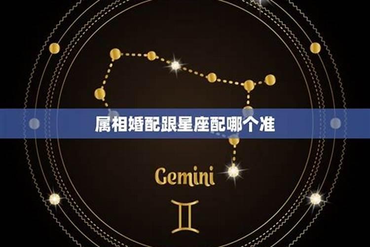 星座跟属相哪个更准确些