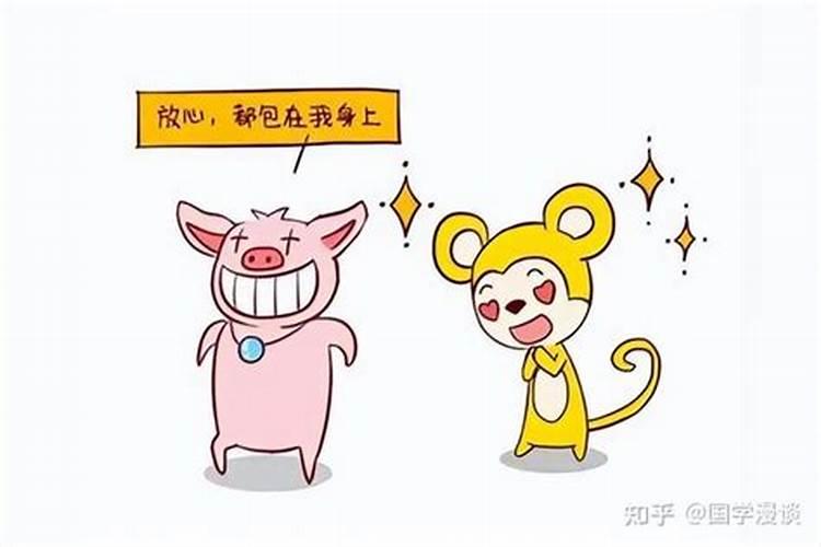 生肖猪有什么特点和寓意