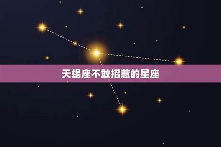 哪些星座不敢惹天蝎座