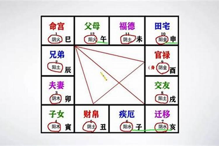 紫微斗数算命准吗能相信吗