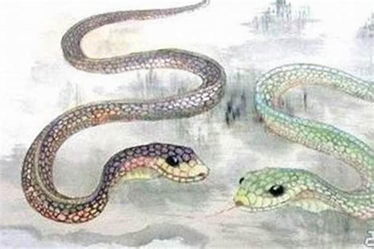 属蛇的人命苦是真的吗