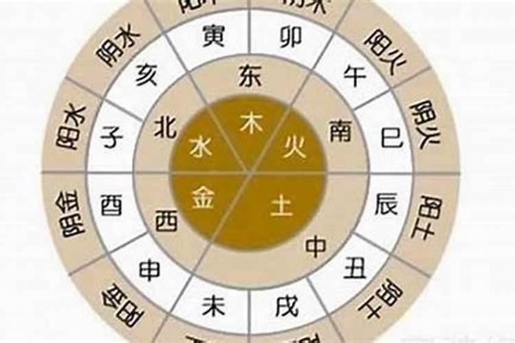 戊子大运五行属什么