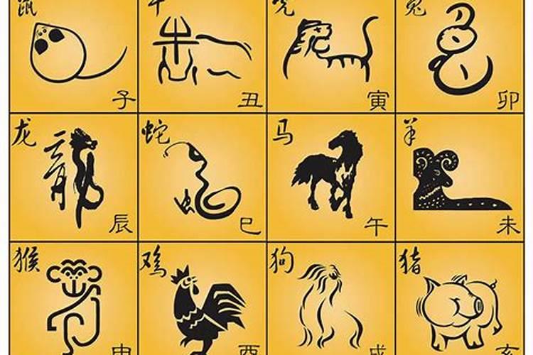 八数字代表什么生肖和动物