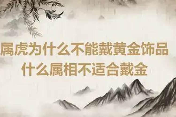 属虎的人为什么不能带黄金