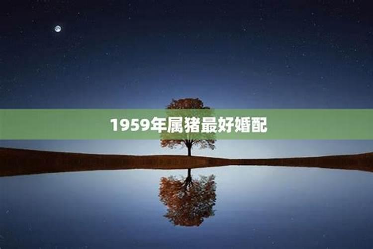 59年属猪男婚配谁最配