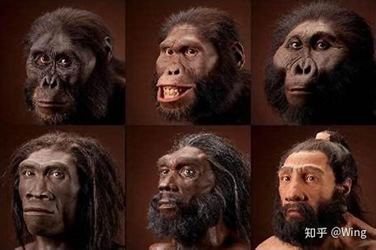 有哪种特征的人祖先不是人种呢