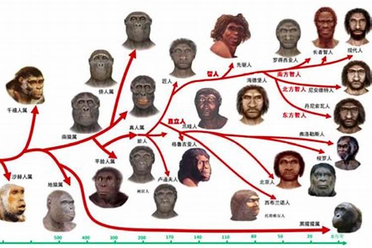不同人种的祖先