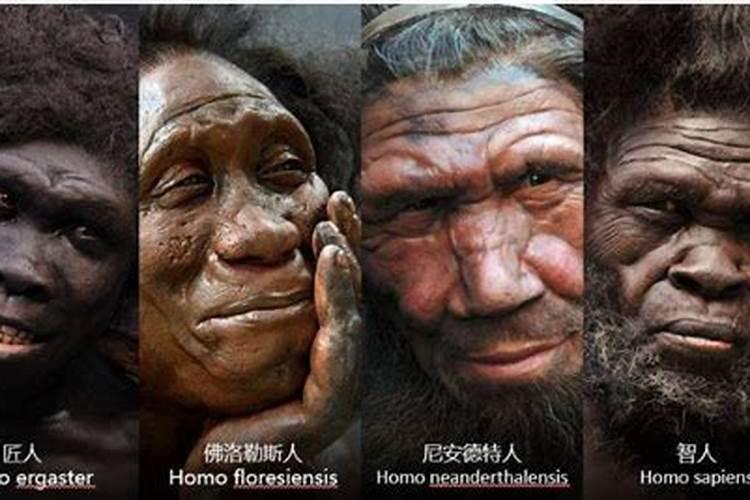 不同人种的祖先
