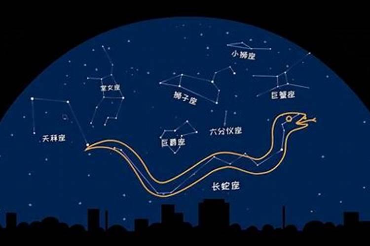 蛇什么星座好