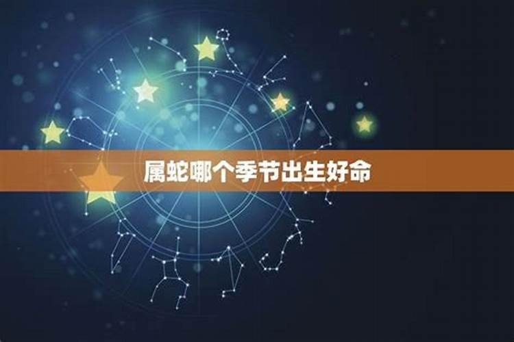 蛇什么星座好