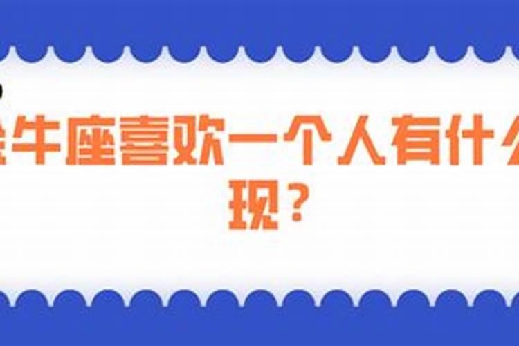 金牛座老实人