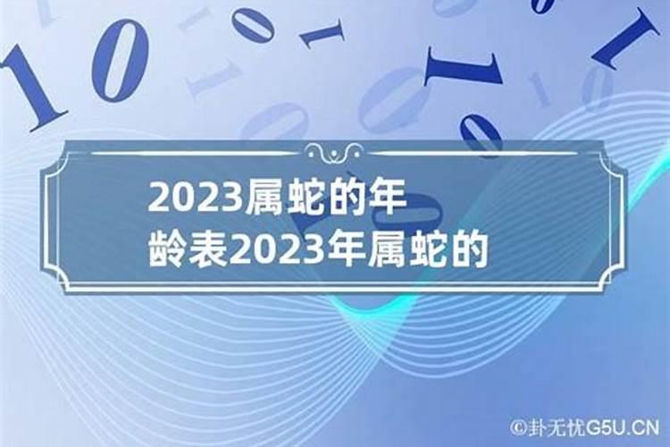 属蛇的周岁年龄表