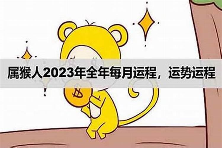 2016年2023年属猴人的全年运势