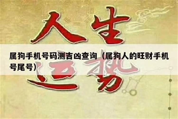 生肖狗手机尾号适合数字