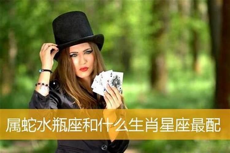 属蛇的女人对待爱情的态度属蛇女会怎么对待感情