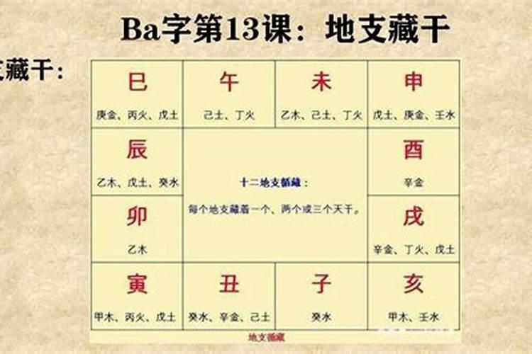 八字入门必备知识