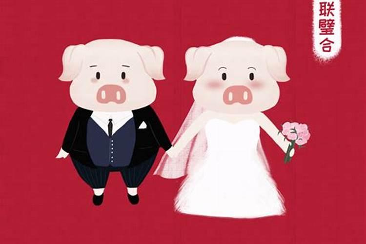 1983属猪二婚会在哪一年结婚呢女