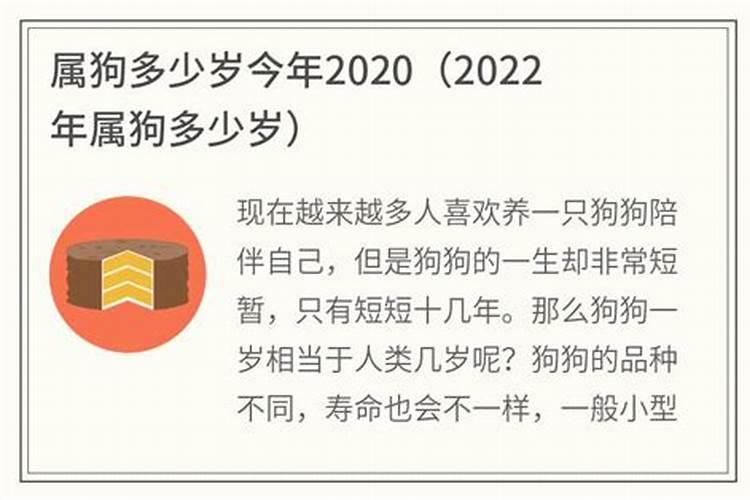 属狗今年几岁2023