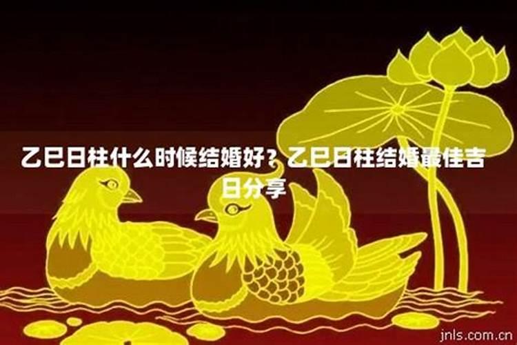 乙巳与甲寅结婚配