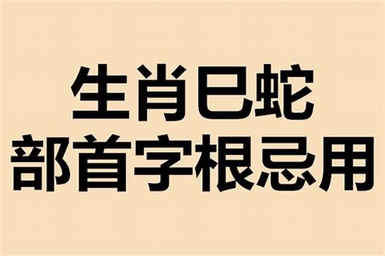 生肖蛇忌用字