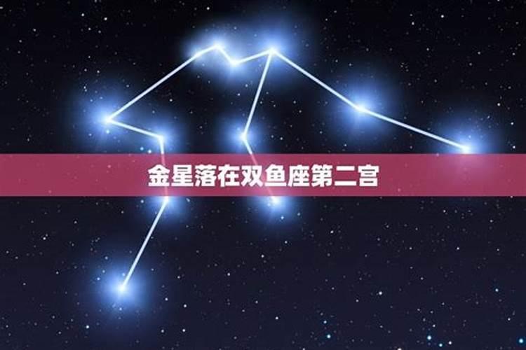 金星落在水瓶座第二宫