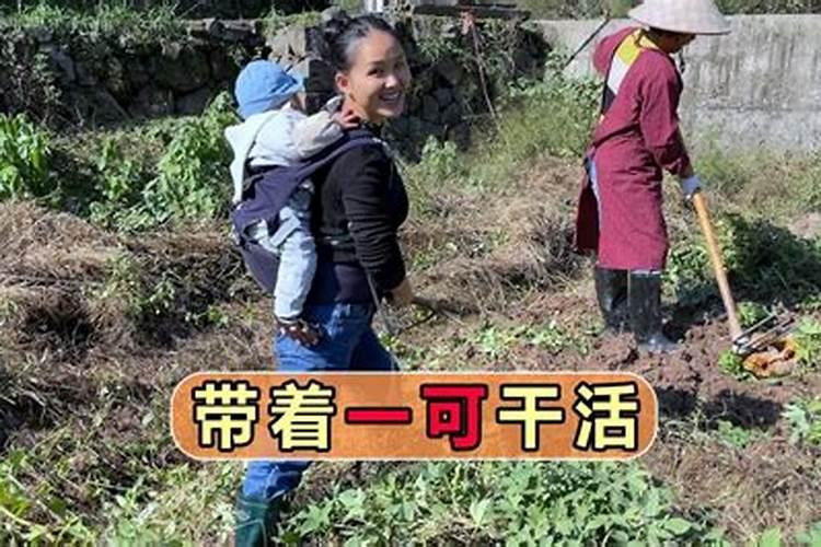 梦见和婆婆一起干农活