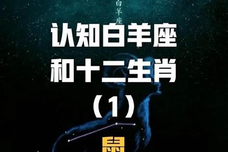 属鼠a型血白羊座明星