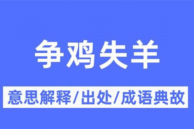 争鸡失羊是什么生肖