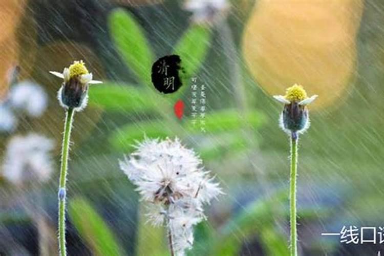 清明节晚上几点下雨